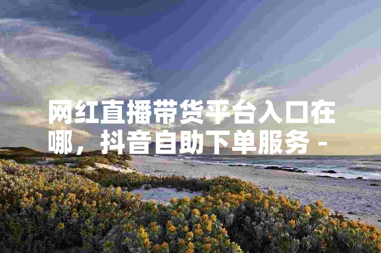 网红直播带货平台入口在哪，抖音自助下单服务 - 自媒体内容创作辅助工具网站 - 微博粉丝互动免费增长平台