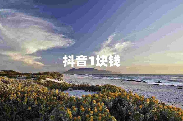 抖音1块钱5000粉丝平台(抖音1元买粉丝平台)
