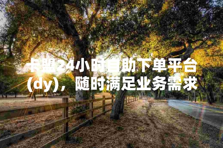 卡盟24小时自助下单平台(dy)，随时满足业务需求。