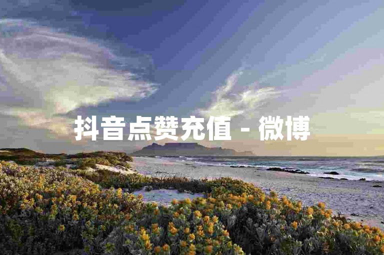 抖音点赞充值 - 微博5元2000粉