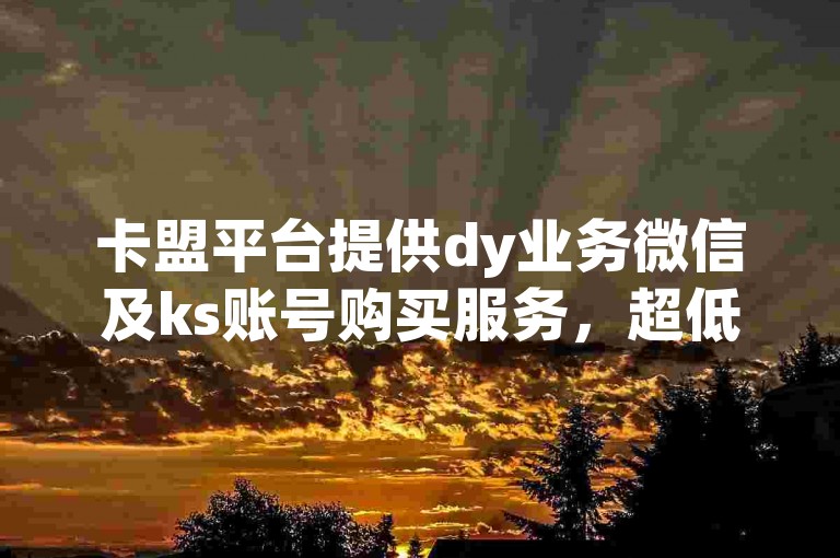 卡盟平台提供dy业务微信及ks账号购买服务，超低价自助下单轻松搞定。