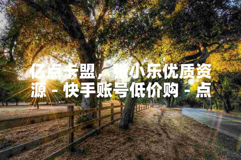 亿点卡盟，张小乐优质资源 - 快手账号低价购 - 点赞量轻松获取