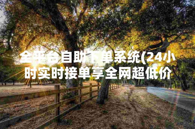 全平台自助下单系统(24小时实时接单享全网超低价)
