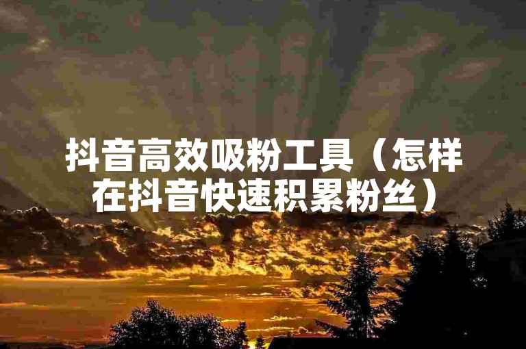 抖音高效吸粉工具（怎样在抖音快速积累粉丝）