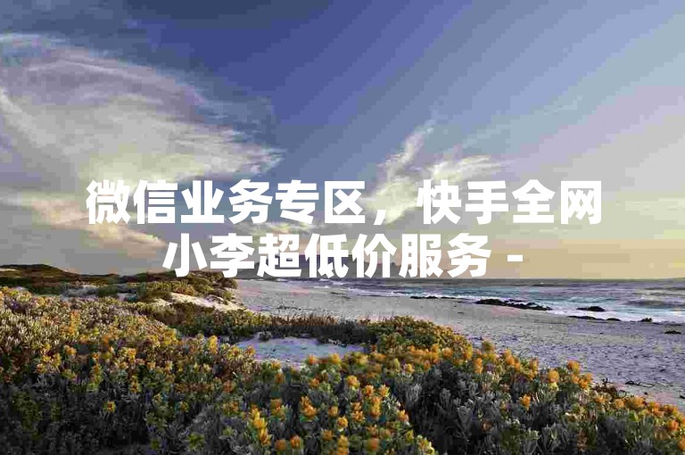 微信业务专区，快手全网小李超低价服务 - 5元微信朋友圈10万浏览量 - 快手实惠网