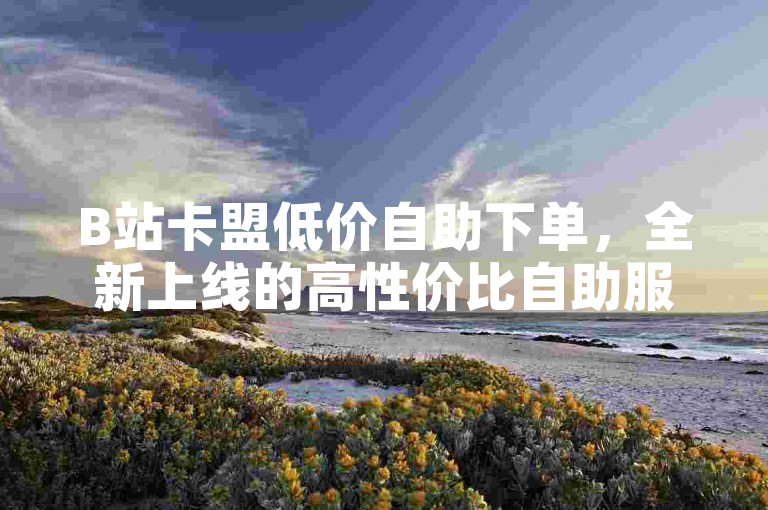 B站卡盟低价自助下单，全新上线的高性价比自助服务，助您便捷获取专属优惠福利。