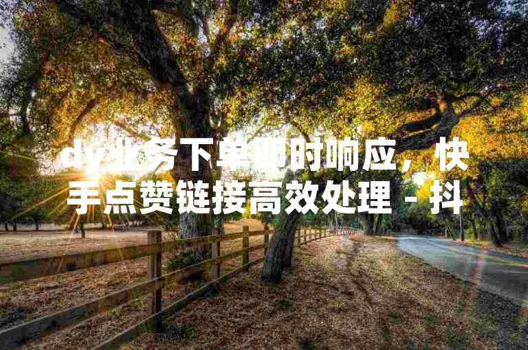dy业务下单即时响应，快手点赞链接高效处理 - 抖音服务全天候在线 - 快手流量增长平台实时支持