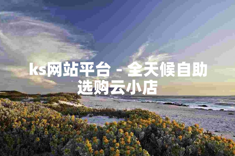 ks网站平台 - 全天候自助选购云小店