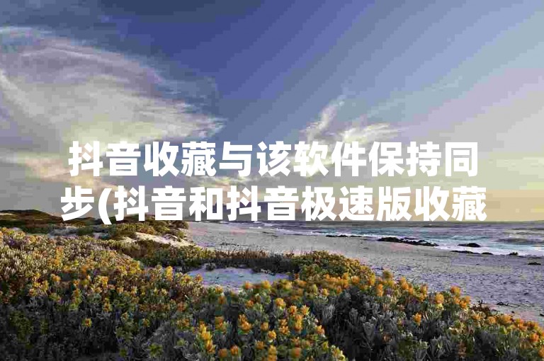 抖音收藏与该软件保持同步(抖音和抖音极速版收藏同步)