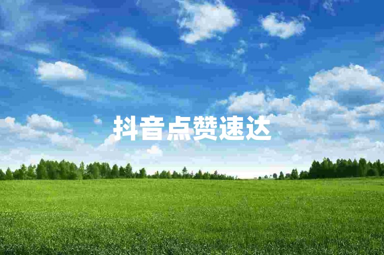抖音点赞速达5000次仅需0.1元，小蜜蜂网络推广助力品牌腾飞，微信朋友圈广告投放 - 24小时自助下单平台 - 精准流量获取秘籍