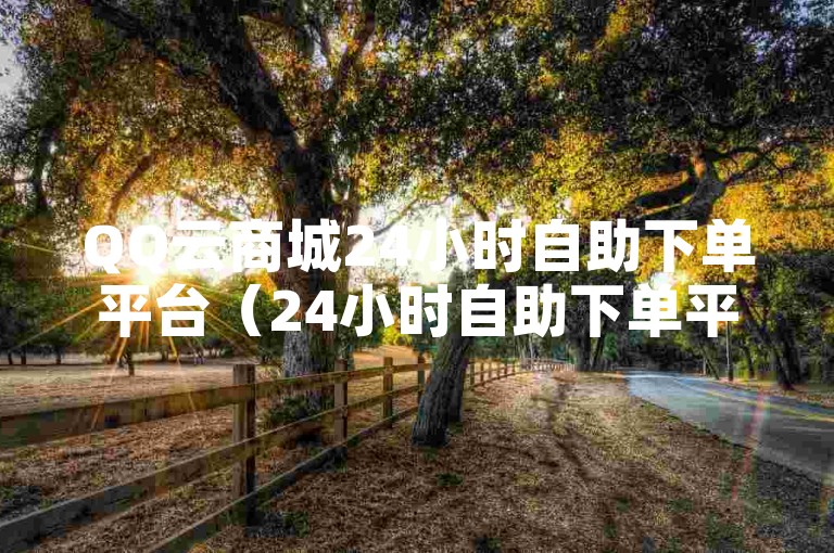 QQ云商城24小时自助下单平台（24小时自助下单平台，QQ云商城的便捷之选）