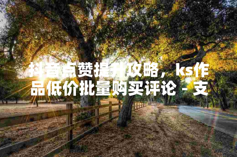 抖音点赞提升攻略，ks作品低价批量购买评论 - 支付宝花呗使用指南 - 0.5元一千赞