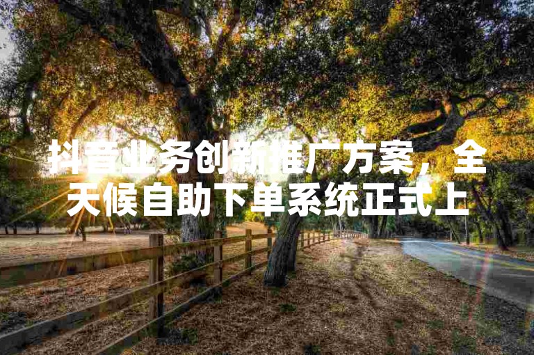 抖音业务创新推广方案，全天候自助下单系统正式上线，为企业业绩增长保驾护航。