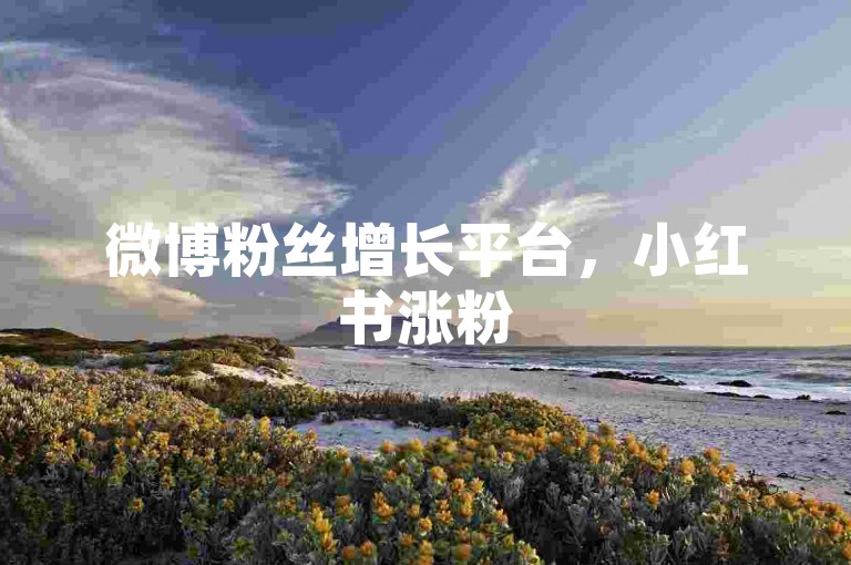 微博粉丝增长平台，小红书涨粉500价格多少 - 淘宝店铺运营中心 - 微博推广服务