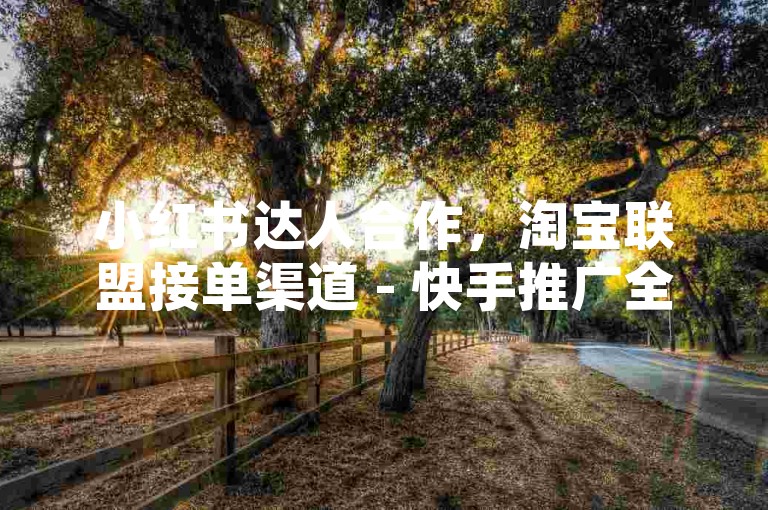 小红书达人合作，淘宝联盟接单渠道 - 快手推广全天候自助服务 - 充会员钻平台