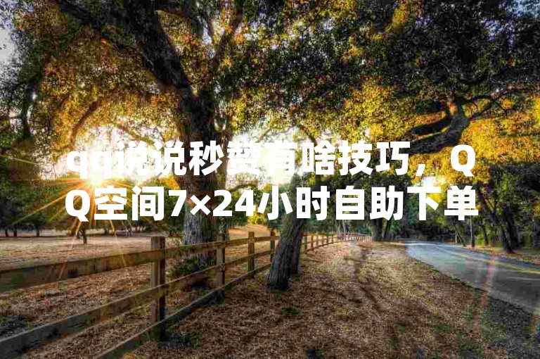 qq说说秒赞有啥技巧，QQ空间7×24小时自助下单平台 - 全天候QQ空间说说点赞服务 - 专业科技助力货源站