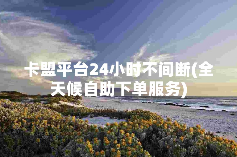 卡盟平台24小时不间断(全天候自助下单服务)