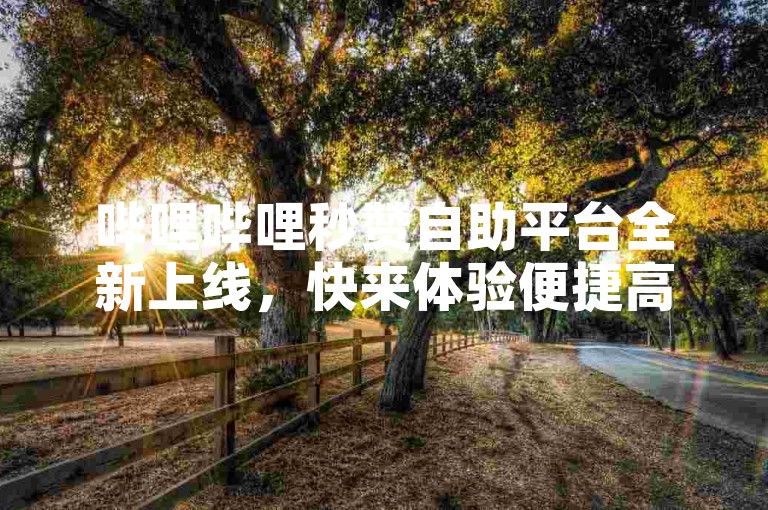 哔哩哔哩秒赞自助平台全新上线，快来体验便捷高效的点赞服务！