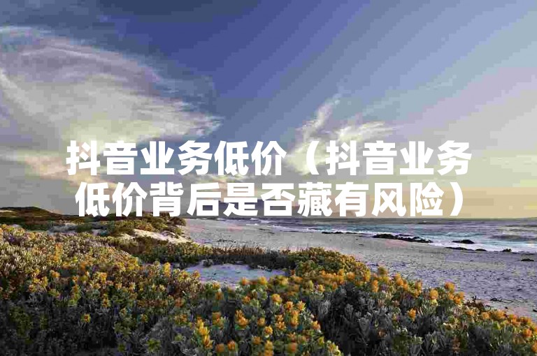 抖音业务低价（抖音业务低价背后是否藏有风险）
