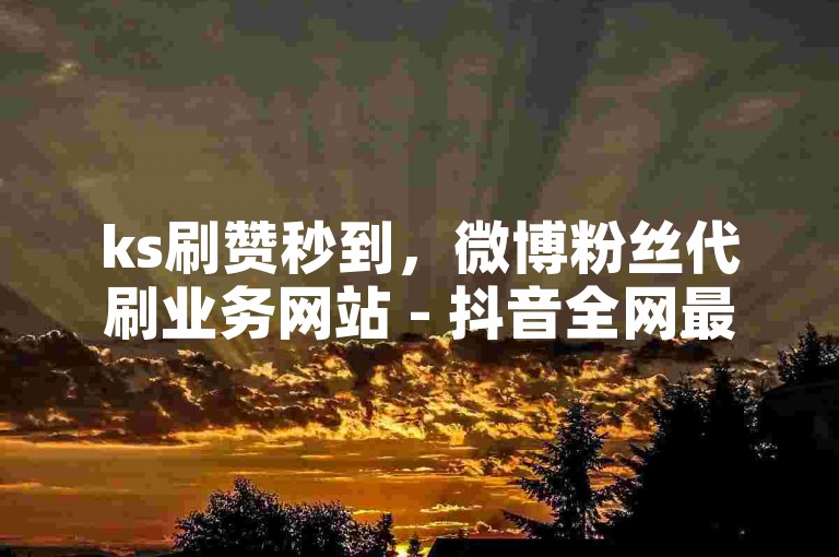 ks刷赞秒到，微博粉丝代刷业务网站 - 抖音全网最实惠下单平台 - 5万粉丝的抖音号售卖明细表