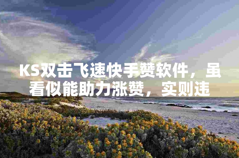 KS双击飞速快手赞软件，虽看似能助力涨赞，实则违反平台规则，存在诸多风险隐患。