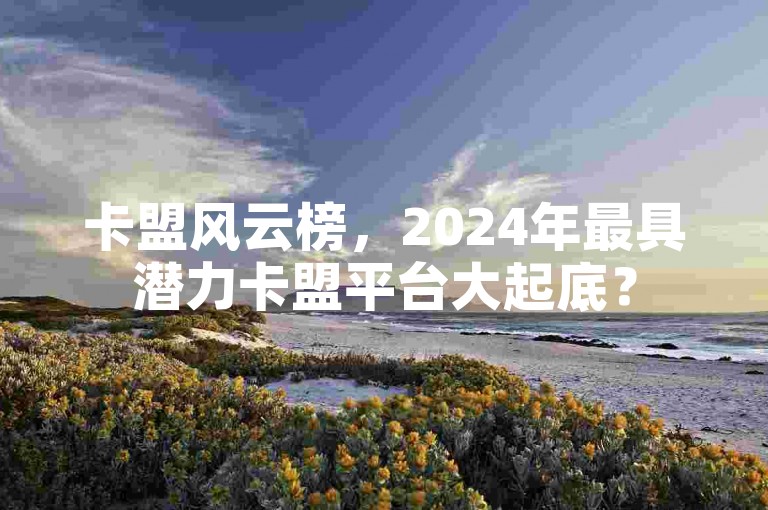 卡盟风云榜，2024年最具潜力卡盟平台大起底？