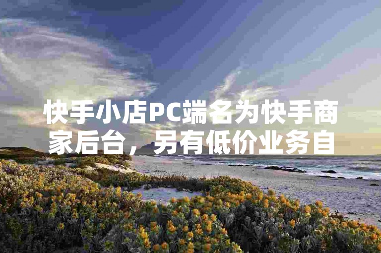 快手小店PC端名为快手商家后台，另有低价业务自助平台，QQ空间访问量可在线下单，抖音业务支持24小时免费下单。