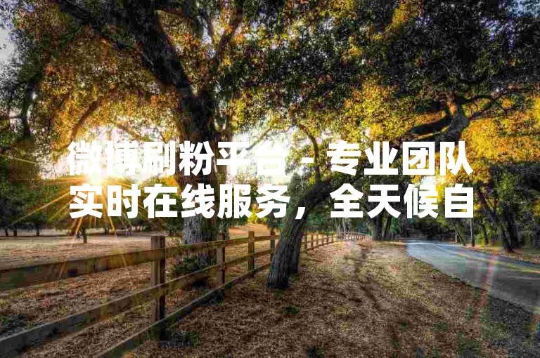 微博刷粉平台 - 专业团队实时在线服务，全天候自助操作性价比超高 - 小红书买粉丝0.5元200粉丝