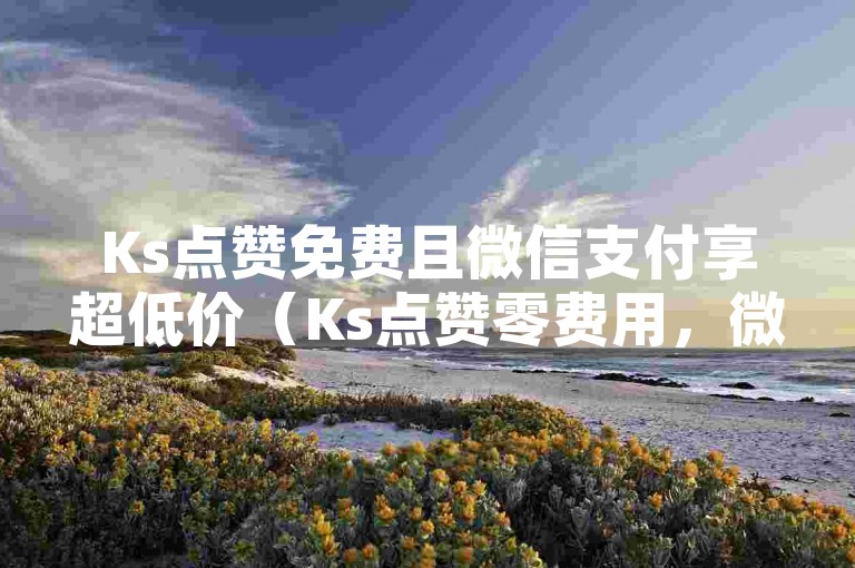 Ks点赞免费且微信支付享超低价（Ks点赞零费用，微信支付即得超低优惠）