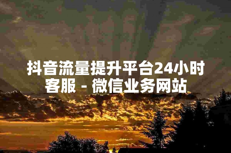抖音流量提升平台24小时客服 - 微信业务网站