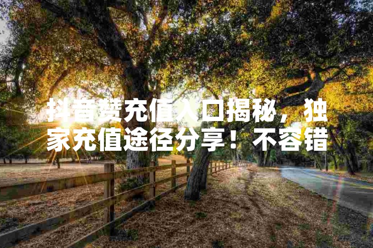 抖音赞充值入口揭秘，独家充值途径分享！不容错过的抖音点赞高效方法