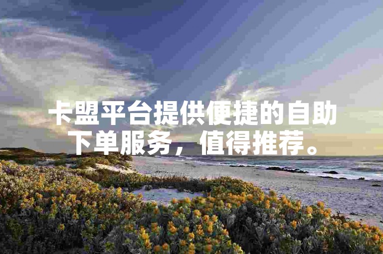卡盟平台提供便捷的自助下单服务，值得推荐。