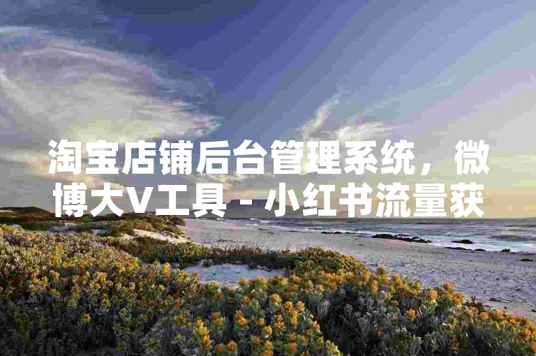 淘宝店铺后台管理系统，微博大V工具 - 小红书流量获取不易啊 - 微博即时充值服务支付宝付款