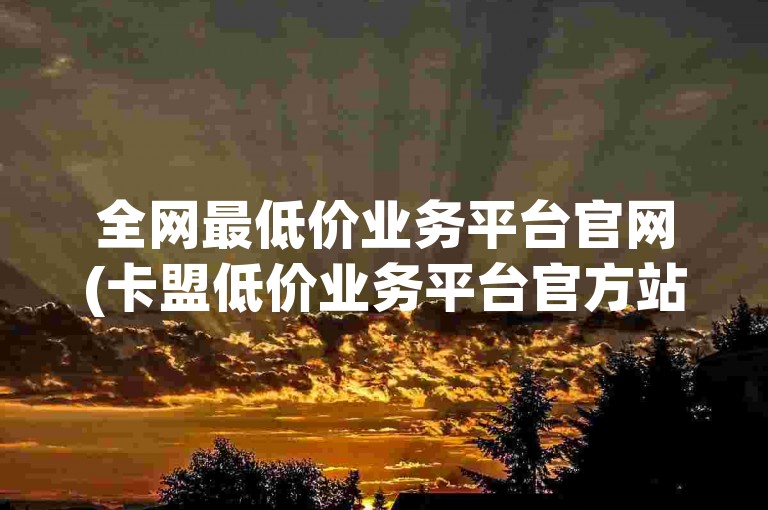 全网最低价业务平台官网(卡盟低价业务平台官方站点)