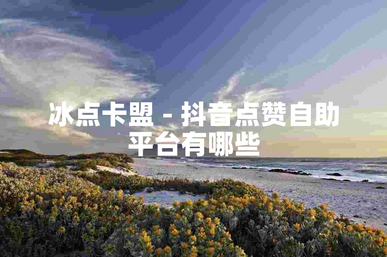 冰点卡盟 - 抖音点赞自助平台有哪些