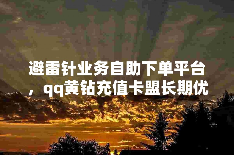 避雷针业务自助下单平台，qq黄钻充值卡盟长期优惠 - 避雷针服务在线购买系统 - 特价qq超级会员限时活动