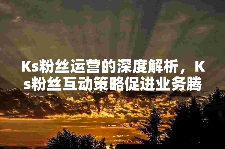 Ks粉丝运营的深度解析，Ks粉丝互动策略促进业务腾飞！2024必知
