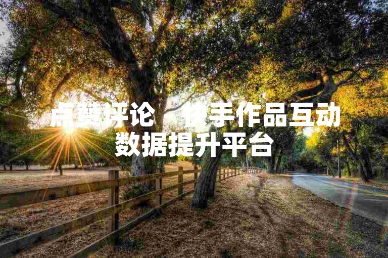 点赞评论 - 快手作品互动数据提升平台