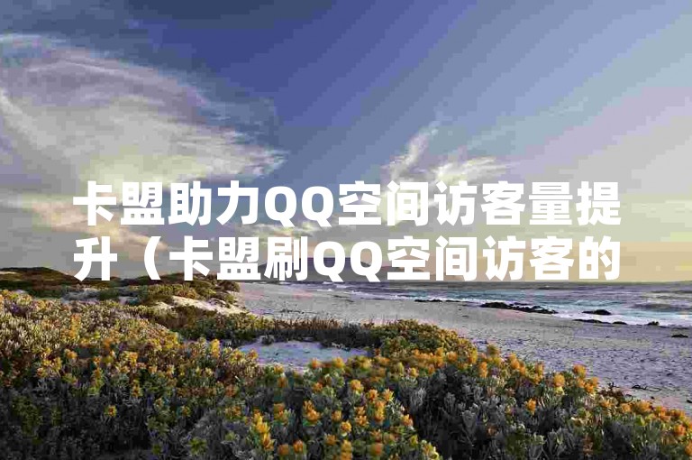 卡盟助力QQ空间访客量提升（卡盟刷QQ空间访客的实用方法）