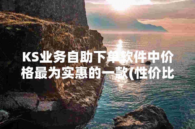KS业务自助下单软件中价格最为实惠的一款(性价比超高的KS业务自助下单软件)