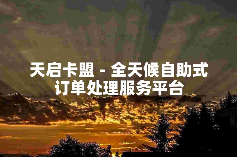 天启卡盟 - 全天候自助式订单处理服务平台