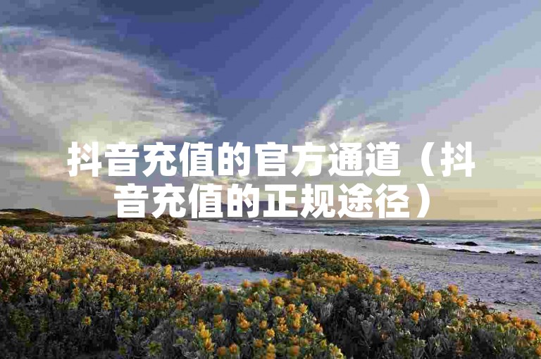 抖音充值的官方通道（抖音充值的正规途径）