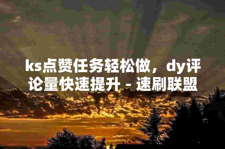 ks点赞任务轻松做，dy评论量快速提升 - 速刷联盟官网 - 互动充值平台