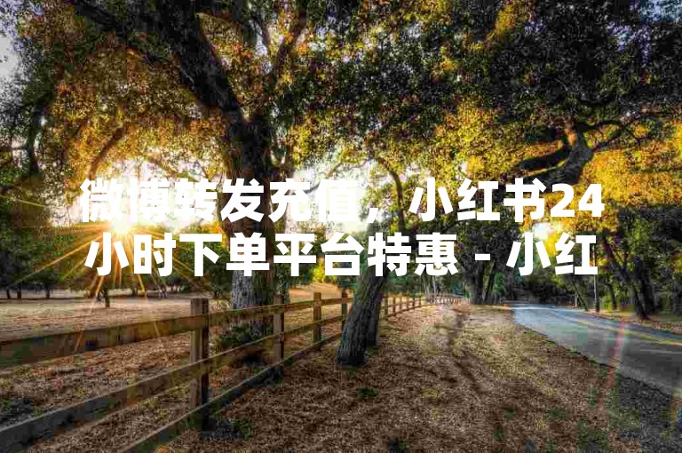 微博转发充值，小红书24小时下单平台特惠 - 小红书点赞24小时自助下单支付宝支付 - 24小时自助下单平台超低价微2024官方严正声明！