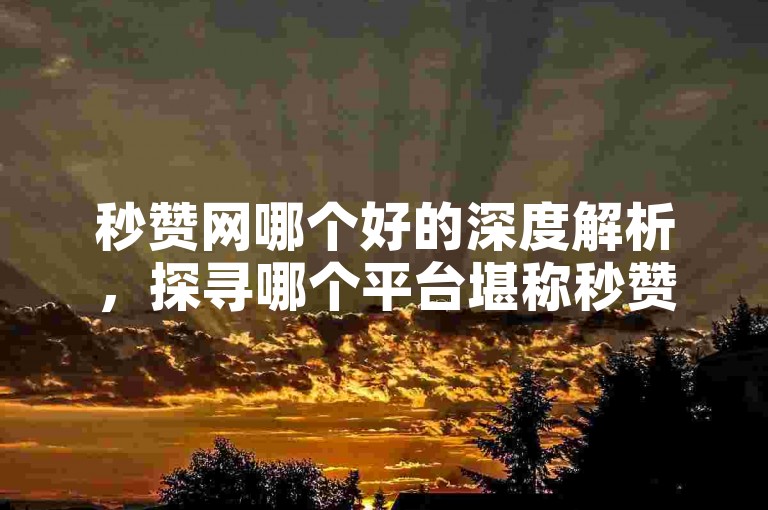 秒赞网哪个好的深度解析，探寻哪个平台堪称秒赞的绝佳之选！2025必备