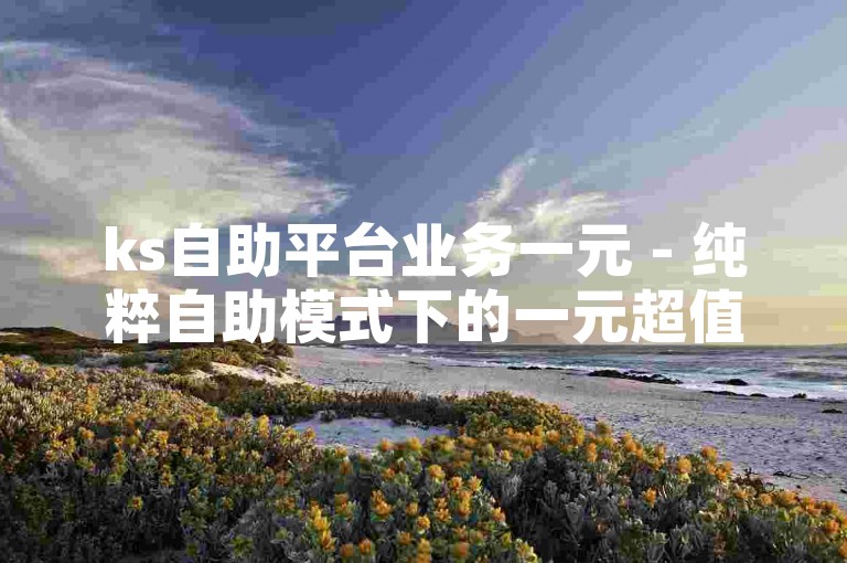 ks自助平台业务一元 - 纯粹自助模式下的一元超值体验！