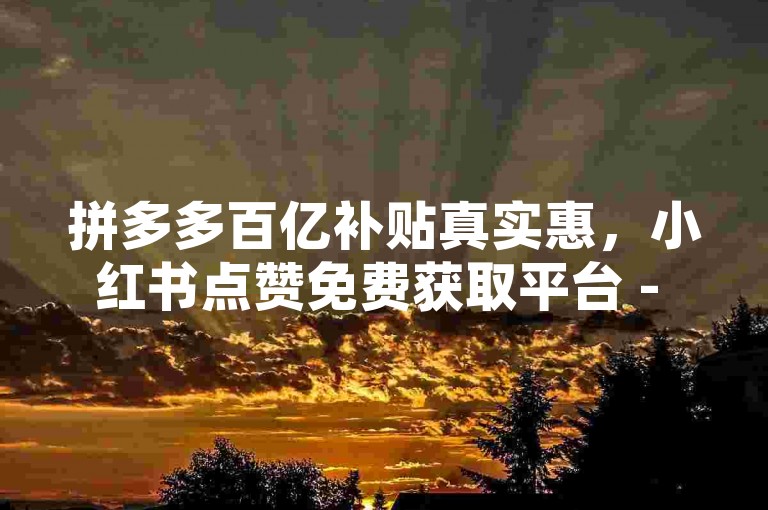 拼多多百亿补贴真实惠,小红书点赞免费获取平台 - 微博粉丝代刷网站 - 易接单联盟。