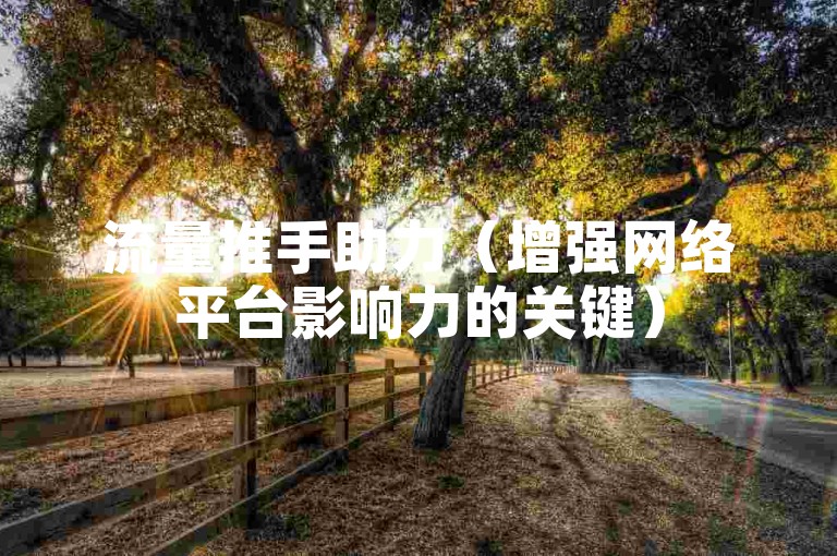 流量推手助力（增强网络平台影响力的关键）