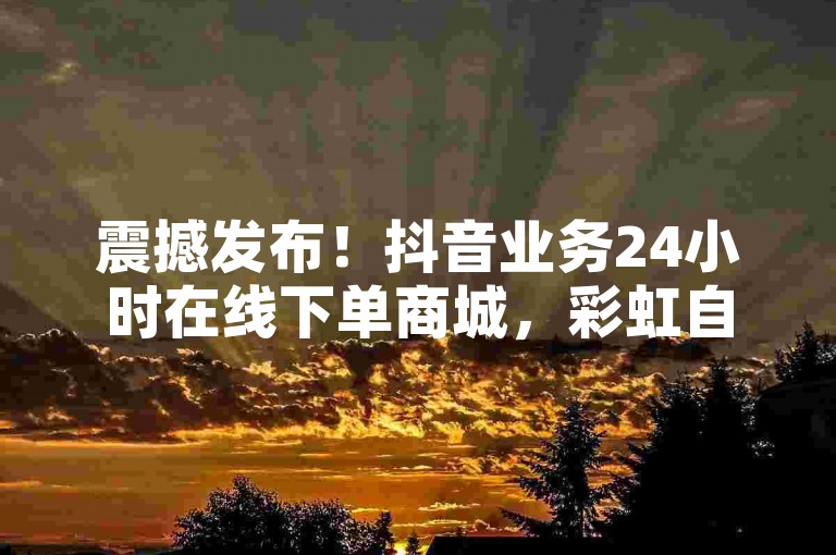 震撼发布！抖音业务24小时在线下单商城，彩虹自助下单等多平台来袭