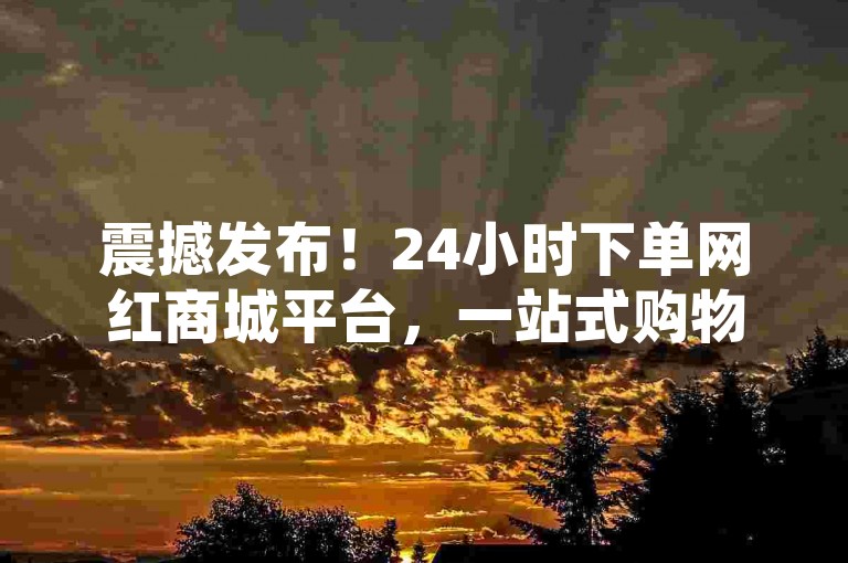震撼发布！24小时下单网红商城平台，一站式购物新体验，畅享便捷网购。